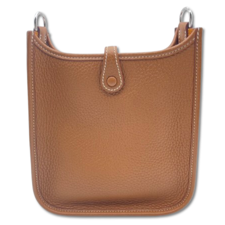 Hermes Evelyn Mini
